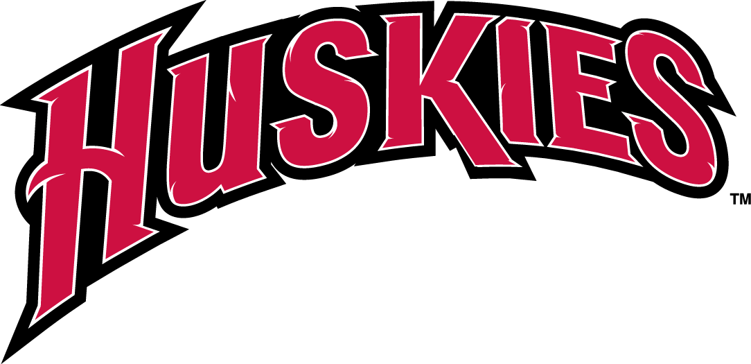 St. Cloud State Huskies 2000-2013 Wordmark Logo diy fabric transfers